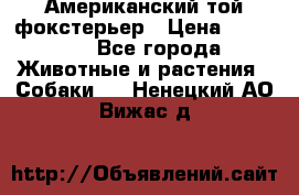 Американский той фокстерьер › Цена ­ 25 000 - Все города Животные и растения » Собаки   . Ненецкий АО,Вижас д.